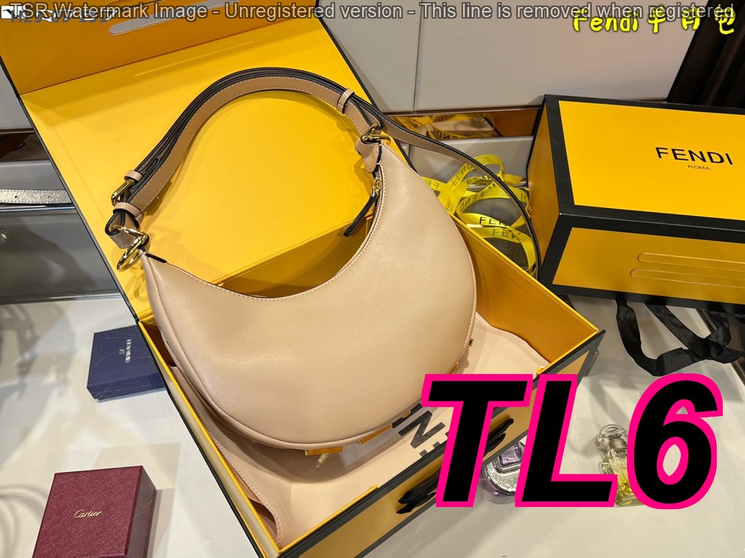 TL6377 FENDI 55$ gallery