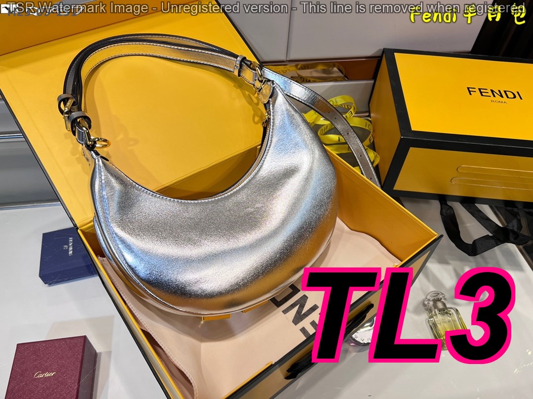 TL6377 FENDI 55$ gallery