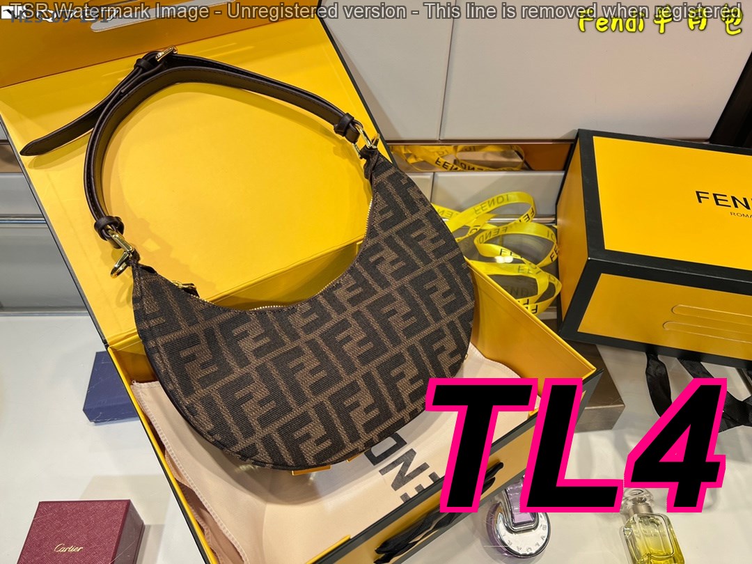 TL6377 FENDI 55$ gallery