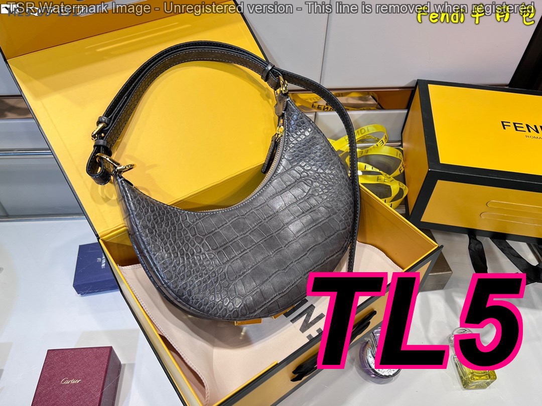 TL6377 FENDI 55$ gallery