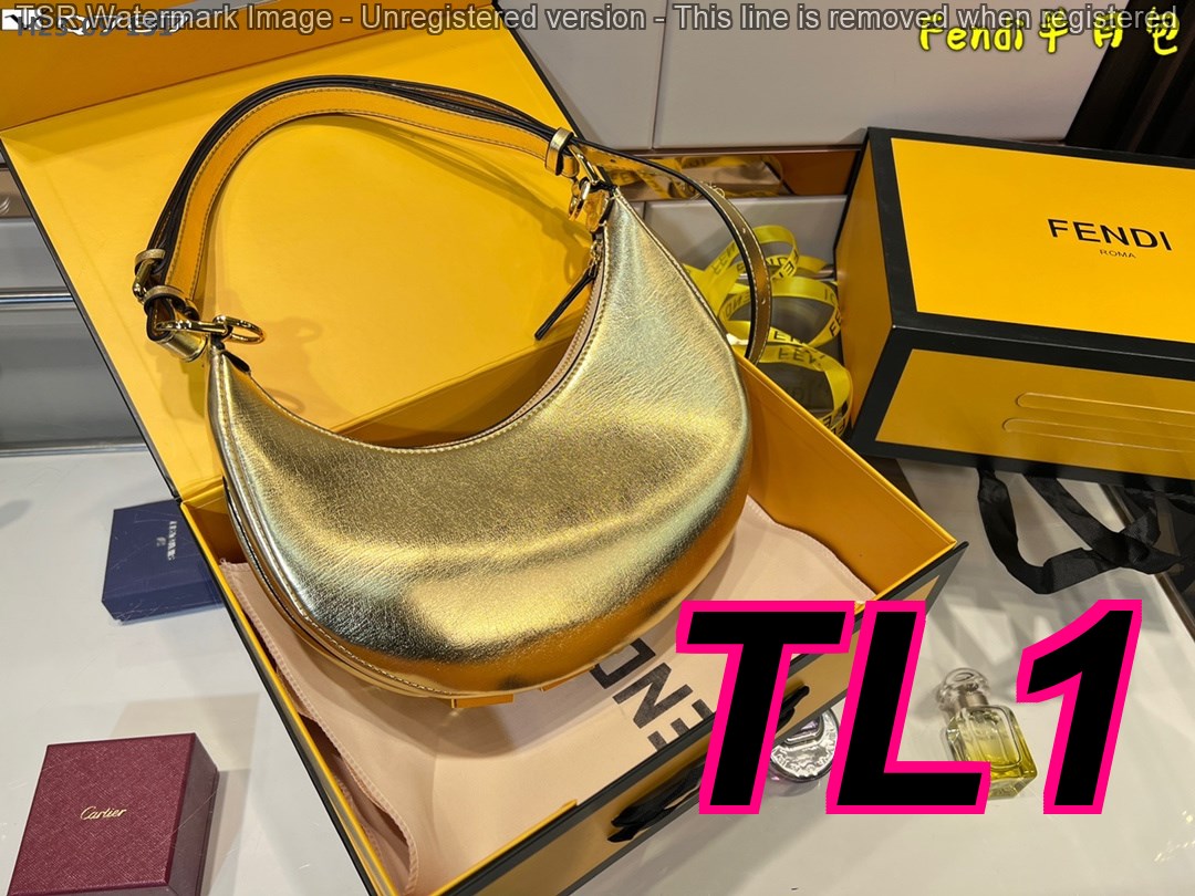 TL6377 FENDI 55$ gallery