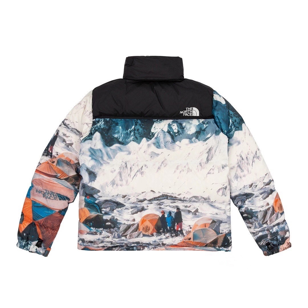 TNF 54.99$ 编号432-5073-R gallery