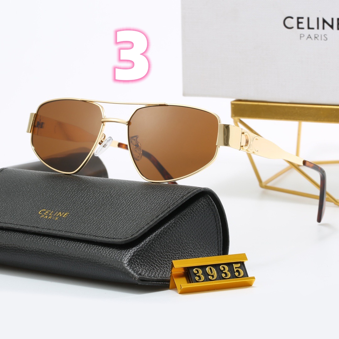 V2572-165💴22.66$celine gallery