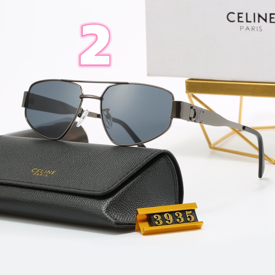 V2572-165💴22.66$celine gallery