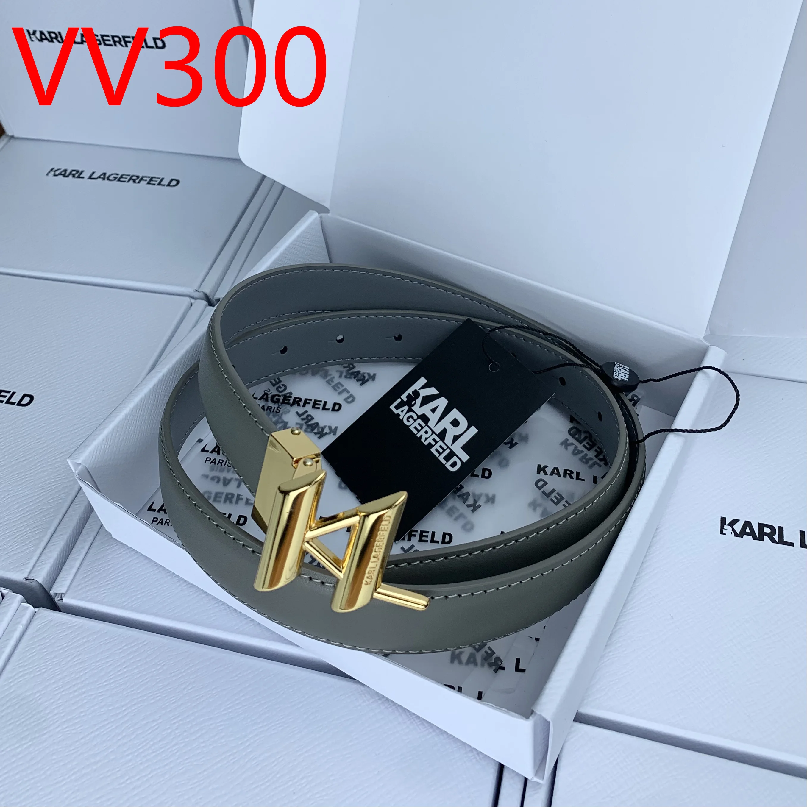 VV300 gallery