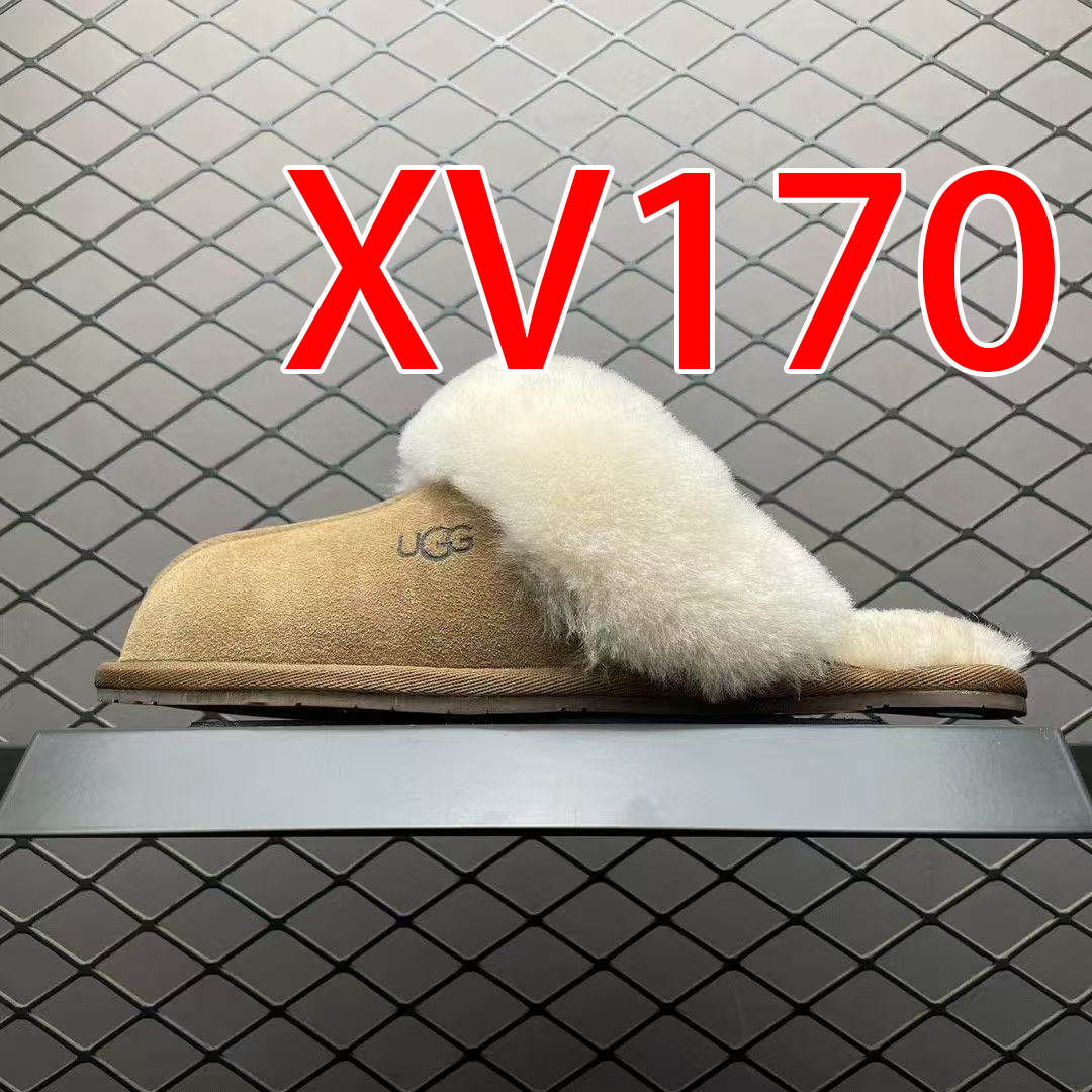 XV170 gallery