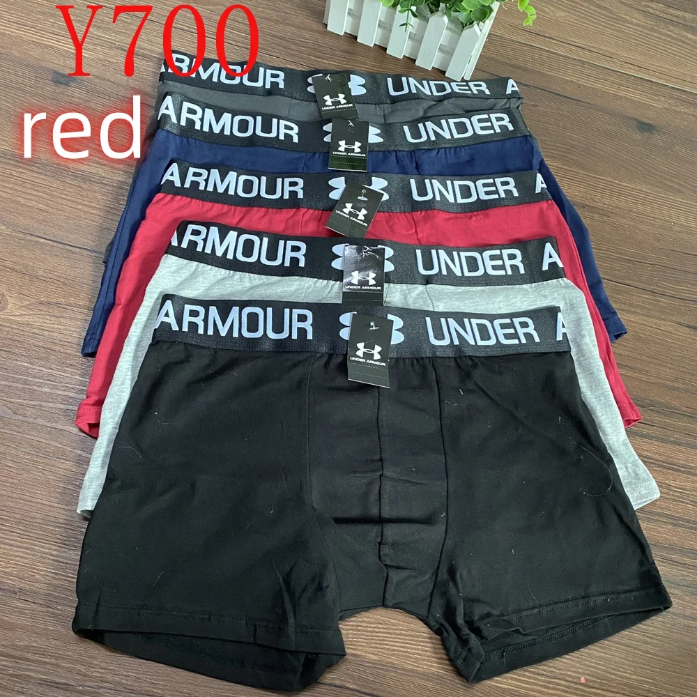 Y688 boxer gallery