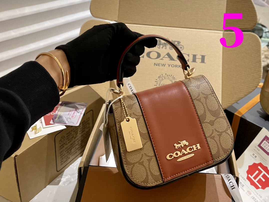 ⬆️22026-Coach-395 gallery