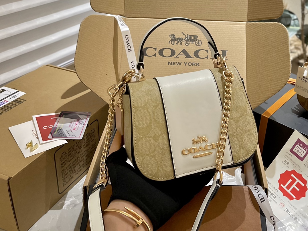 ⬆️22026-Coach-395 gallery