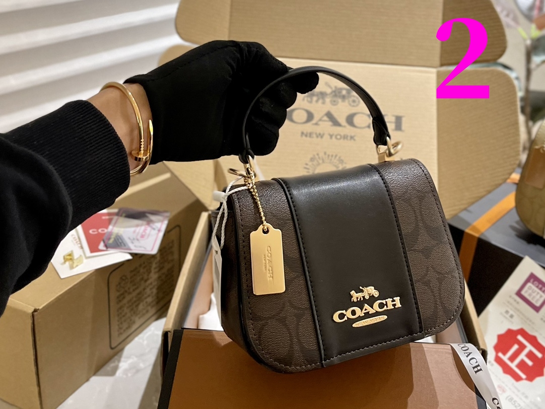 ⬆️22026-Coach-395 gallery