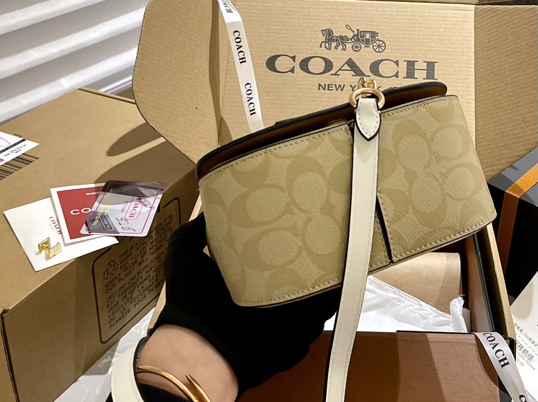 ⬆️22026-Coach-395 gallery