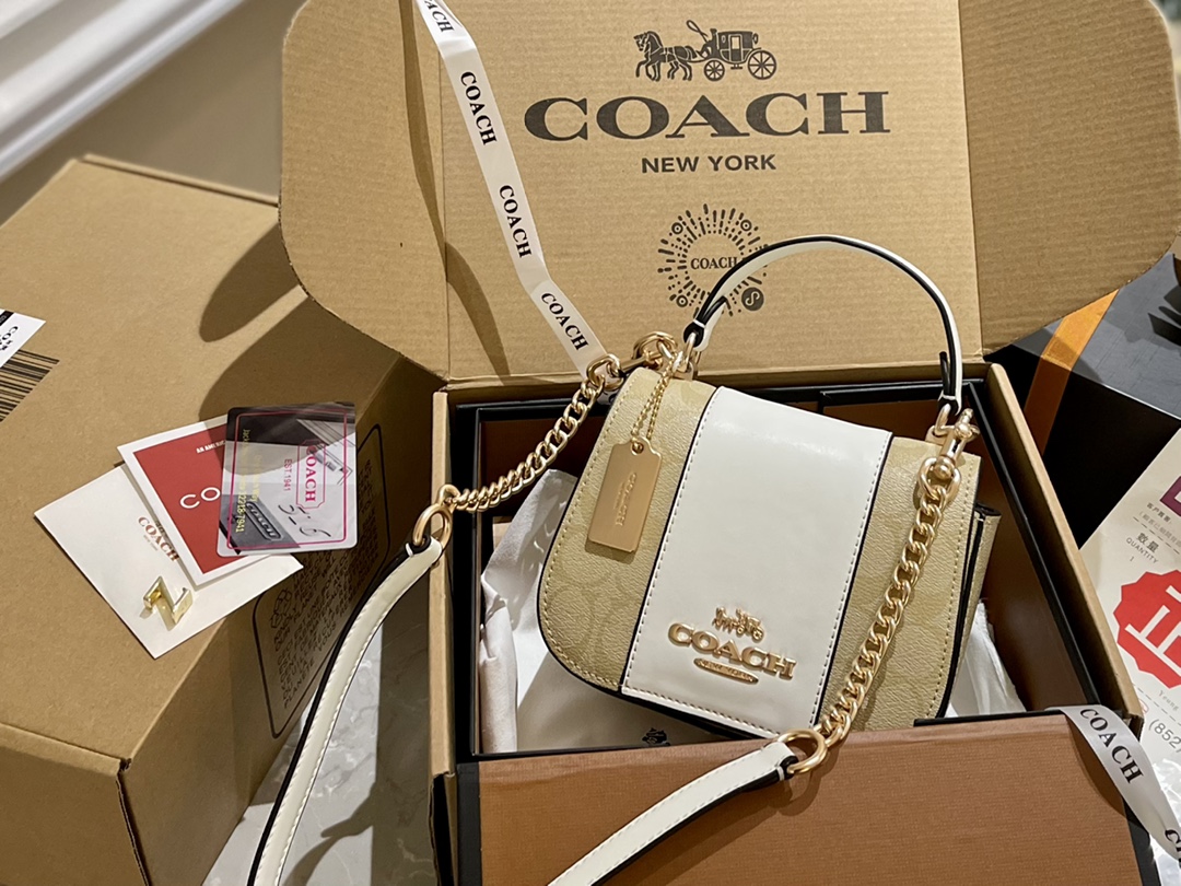 ⬆️22026-Coach-395 gallery