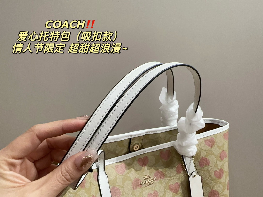 ⬆️22179-COACH-495 gallery