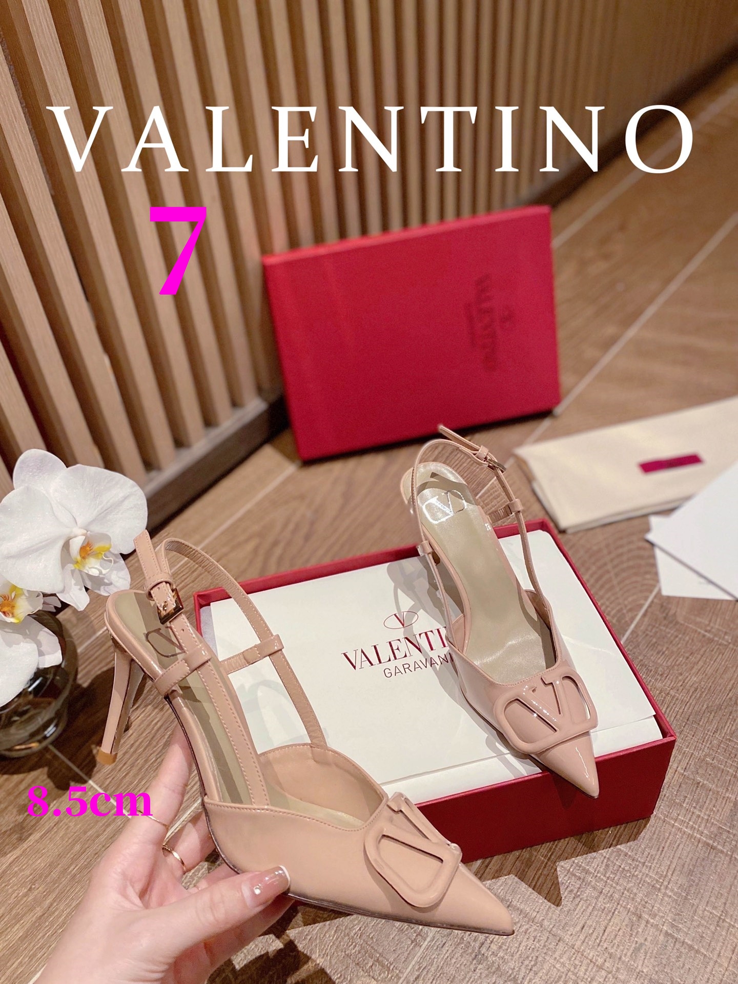 ⬆️22745-Valentino --805 gallery