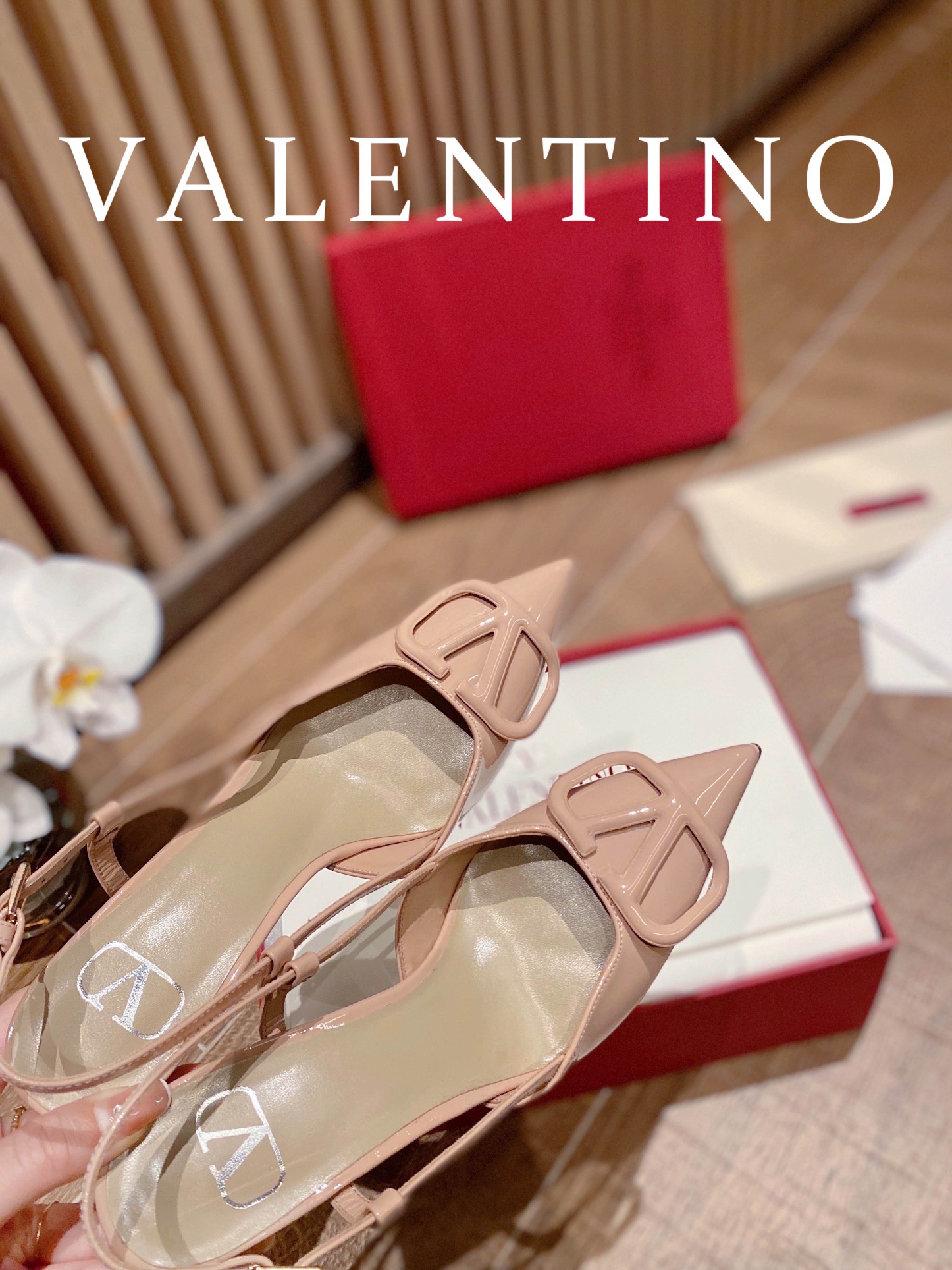 ⬆️22745-Valentino --805 gallery