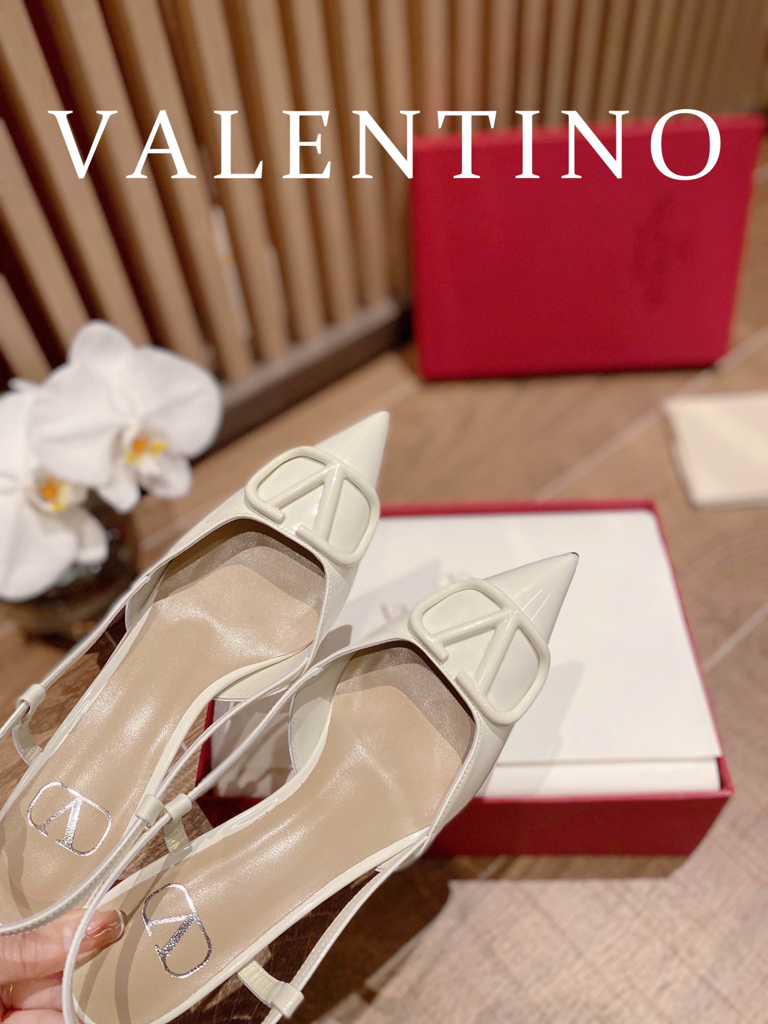 ⬆️22745-Valentino --805 gallery