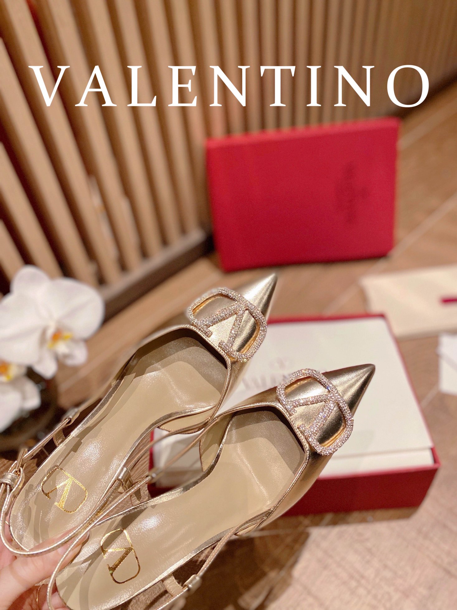 ⬆️23157-Valentino -825 gallery