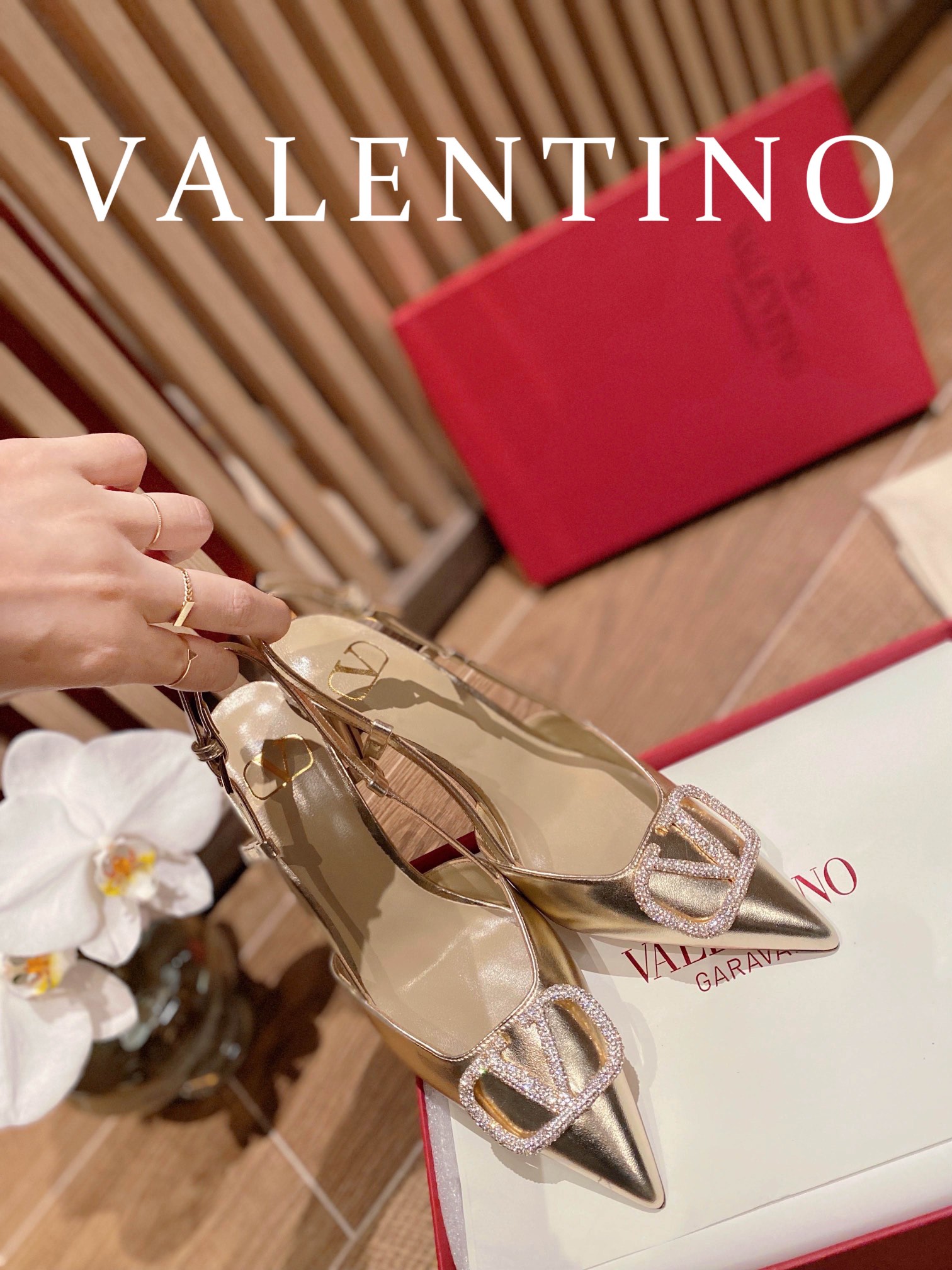 ⬆️23157-Valentino -825 gallery