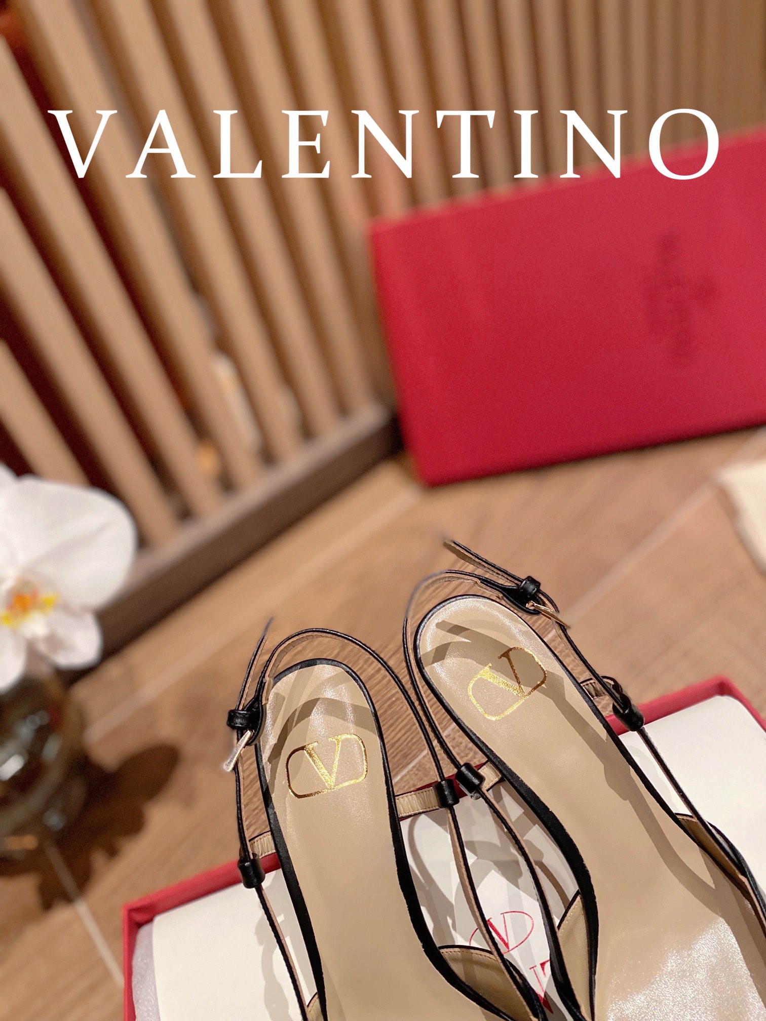 ⬆️23157-Valentino -825 gallery