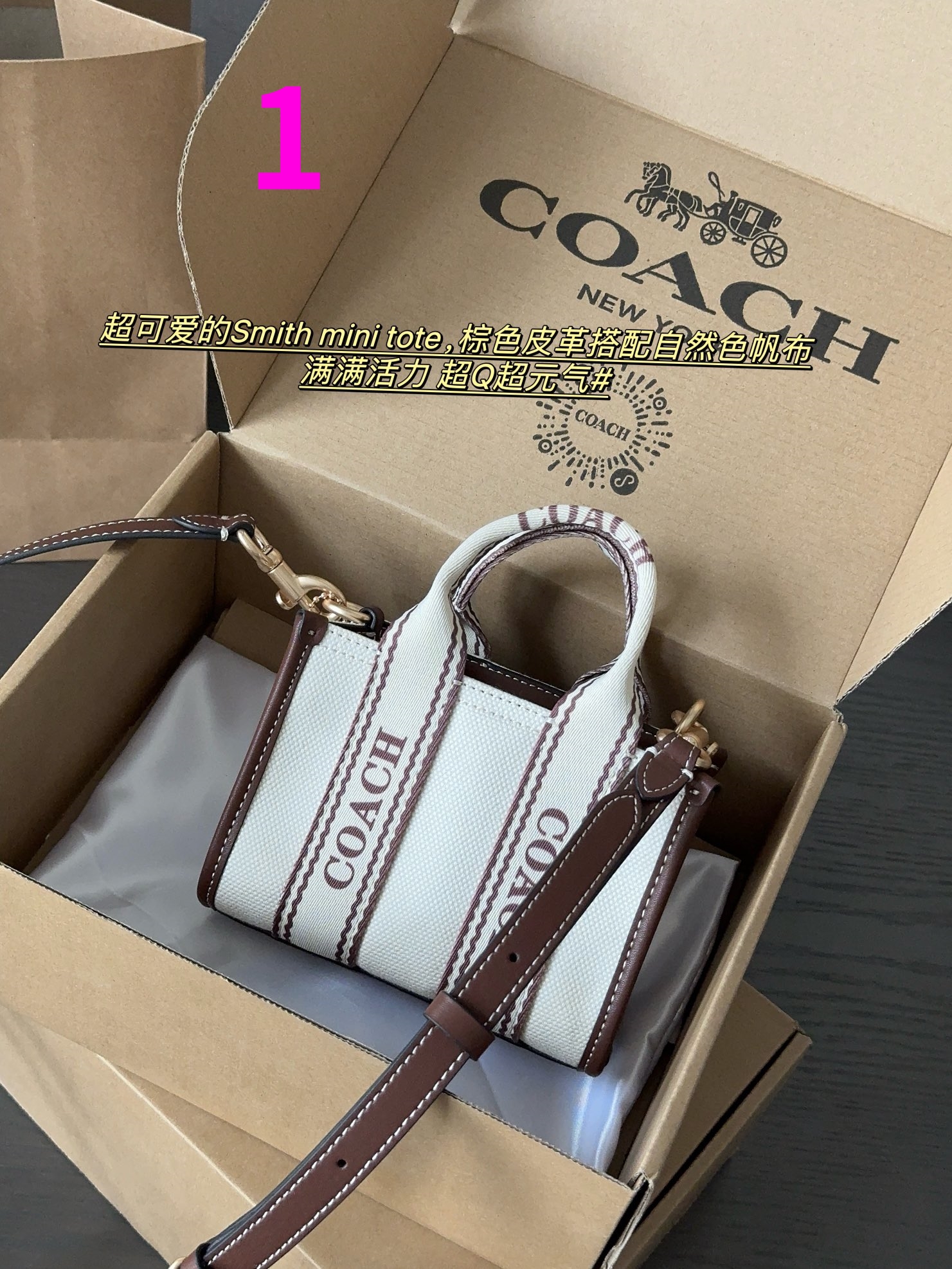 ⬆️23170-Coach-499 gallery