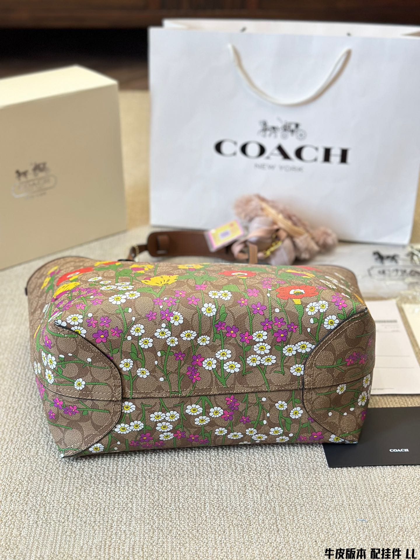 ⬆️23209-Coach-535 gallery