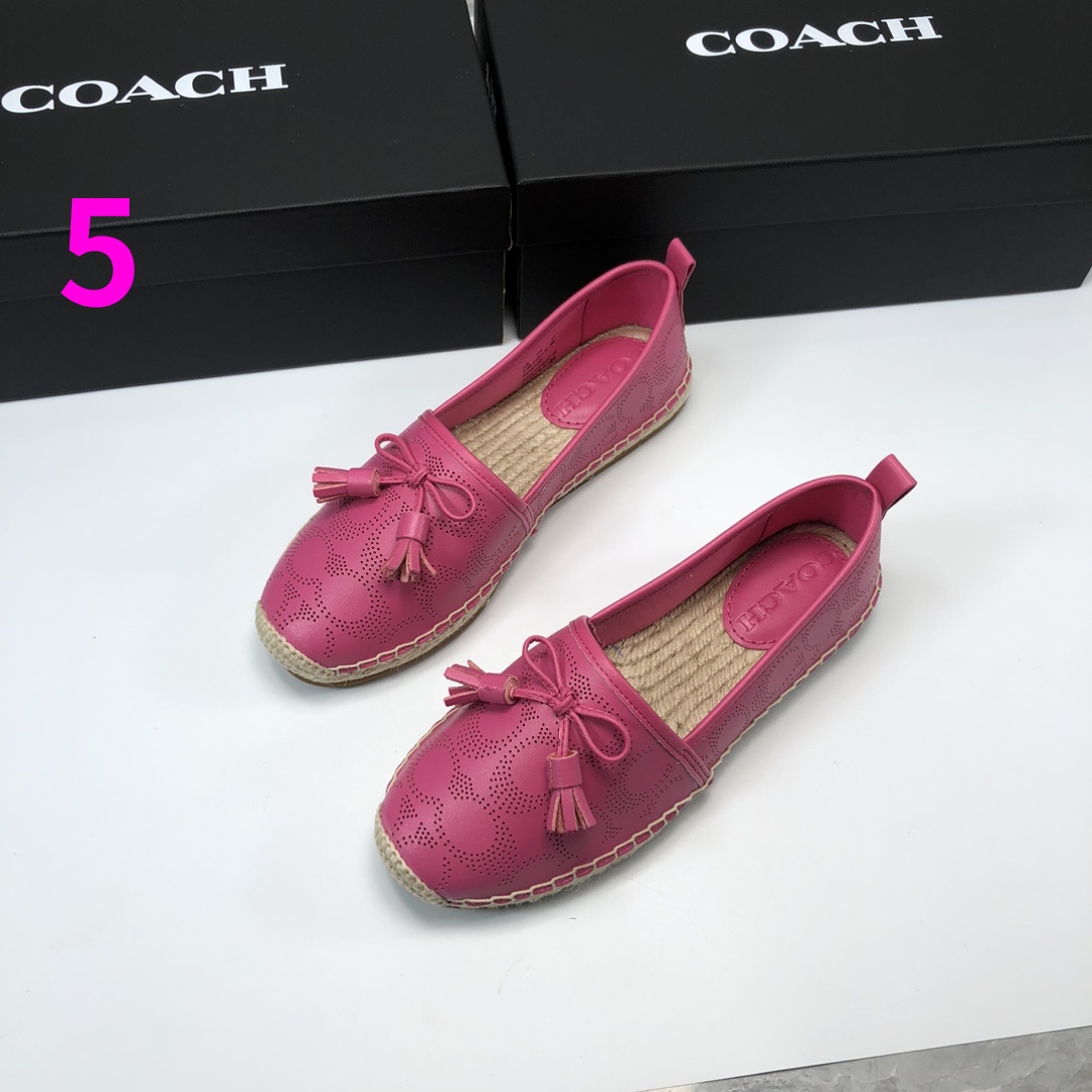 ⬆️23330-Coach-655 gallery