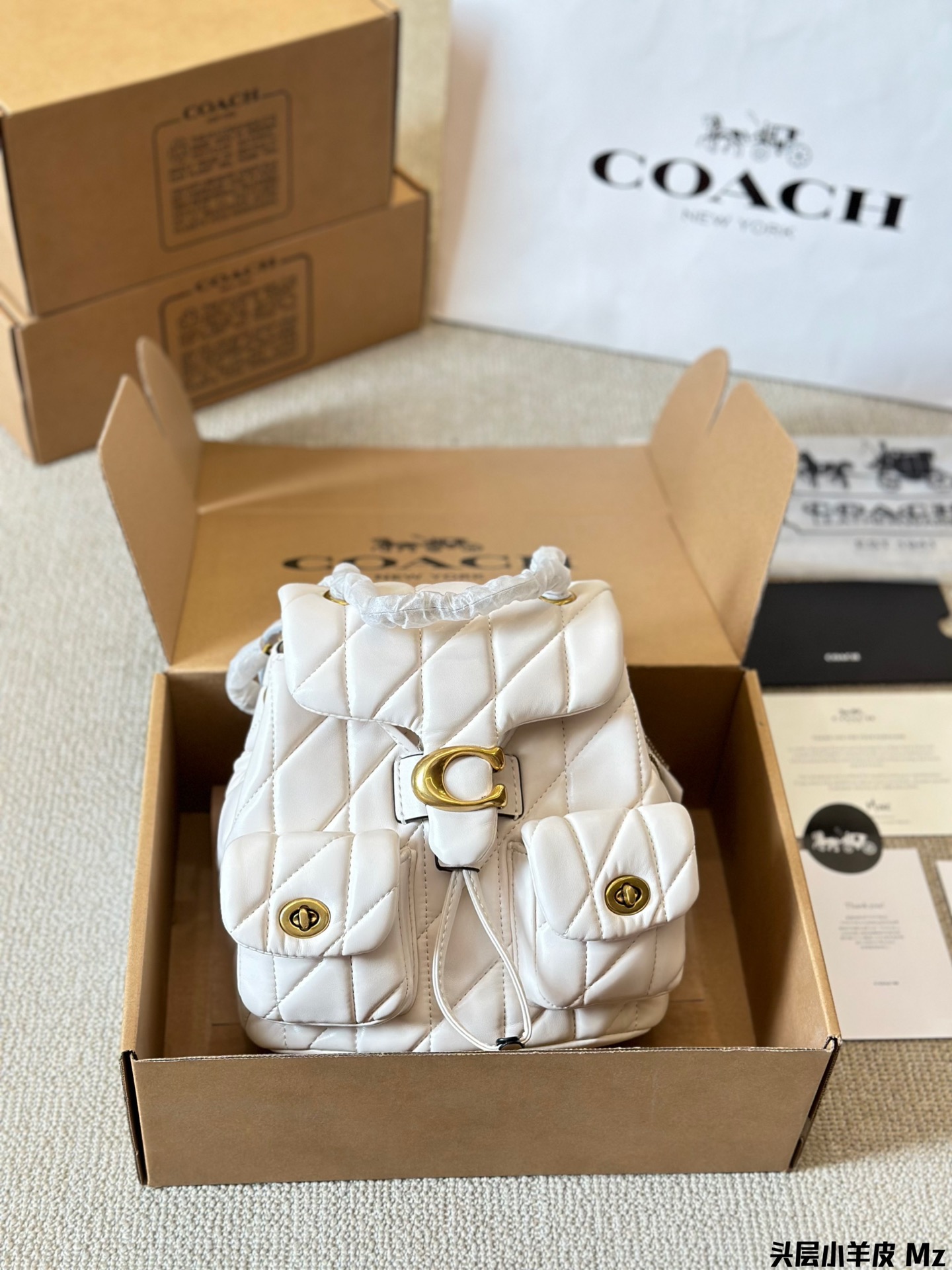 ⬆️23421-Coach-718 gallery