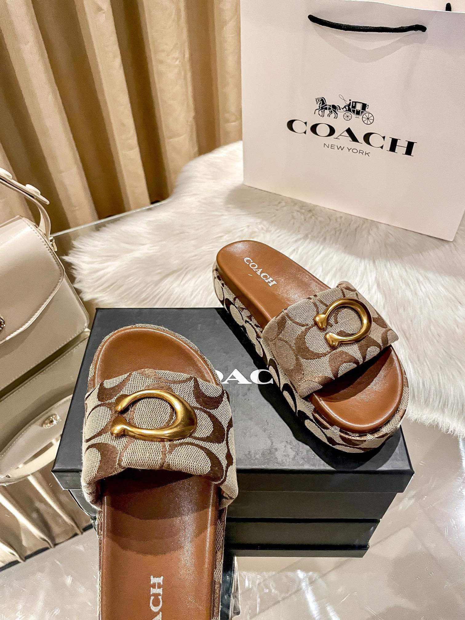 ⬆️23438-Coach-600 gallery