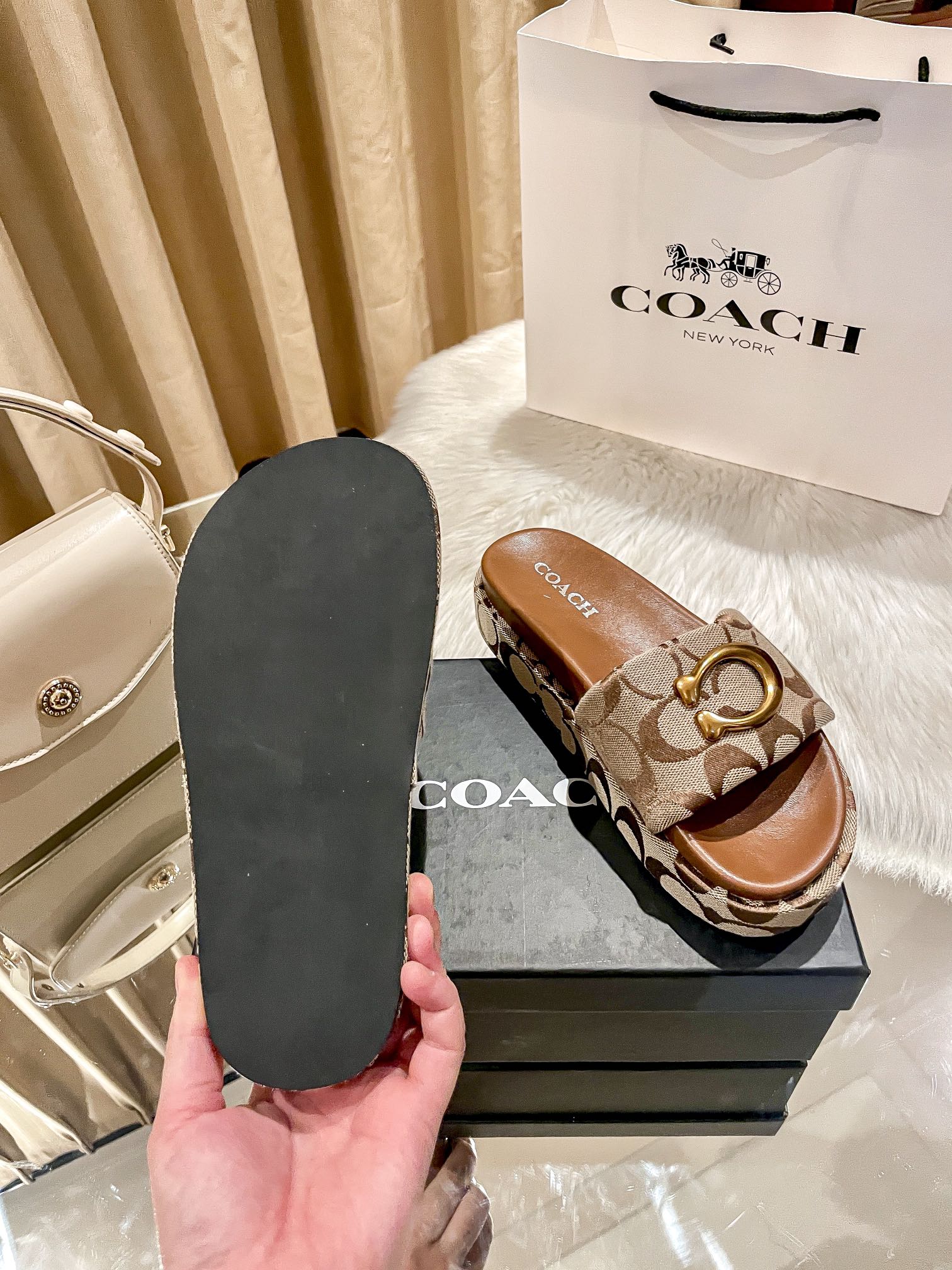 ⬆️23438-Coach-600 gallery