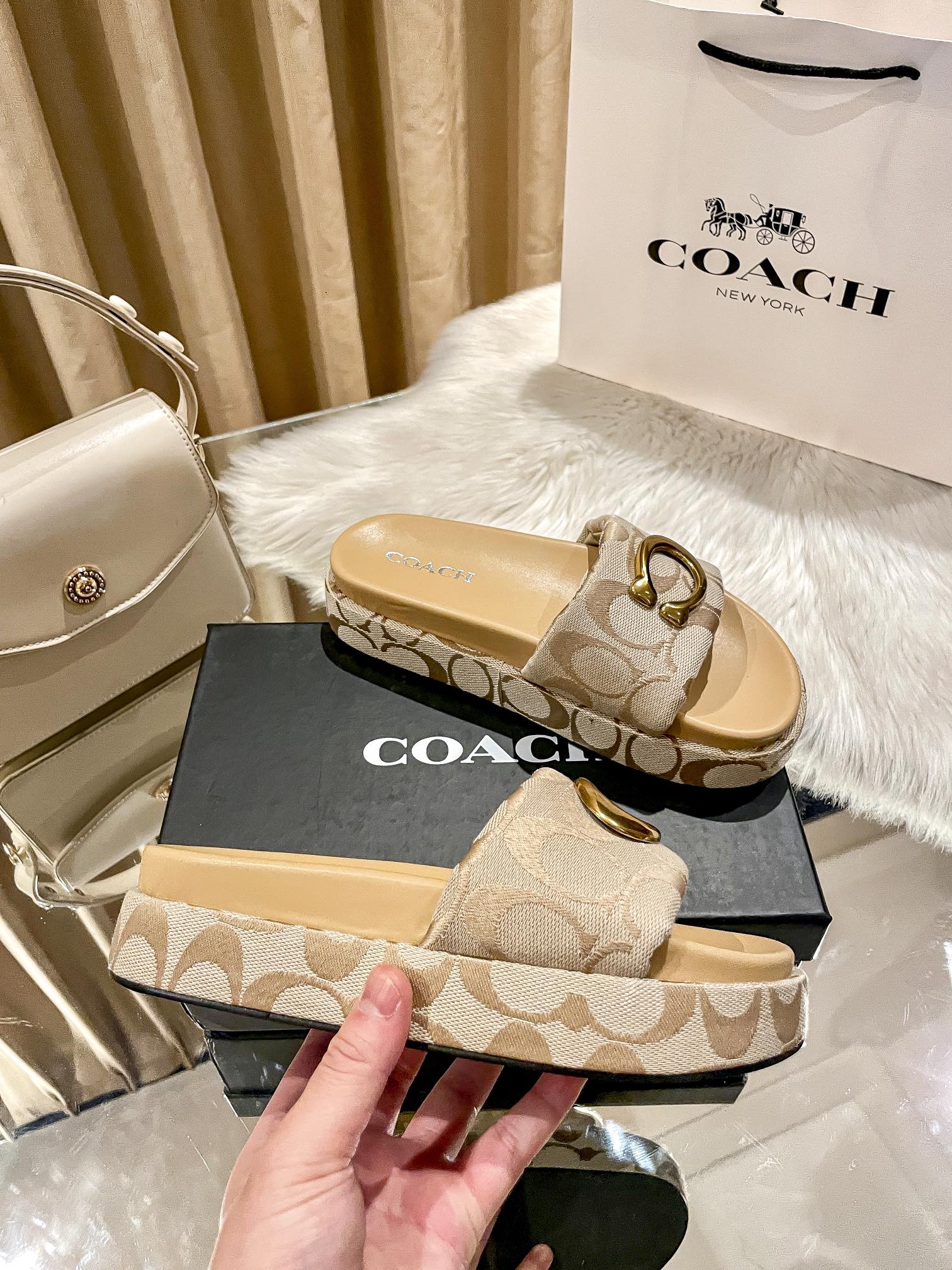 ⬆️23438-Coach-600 gallery