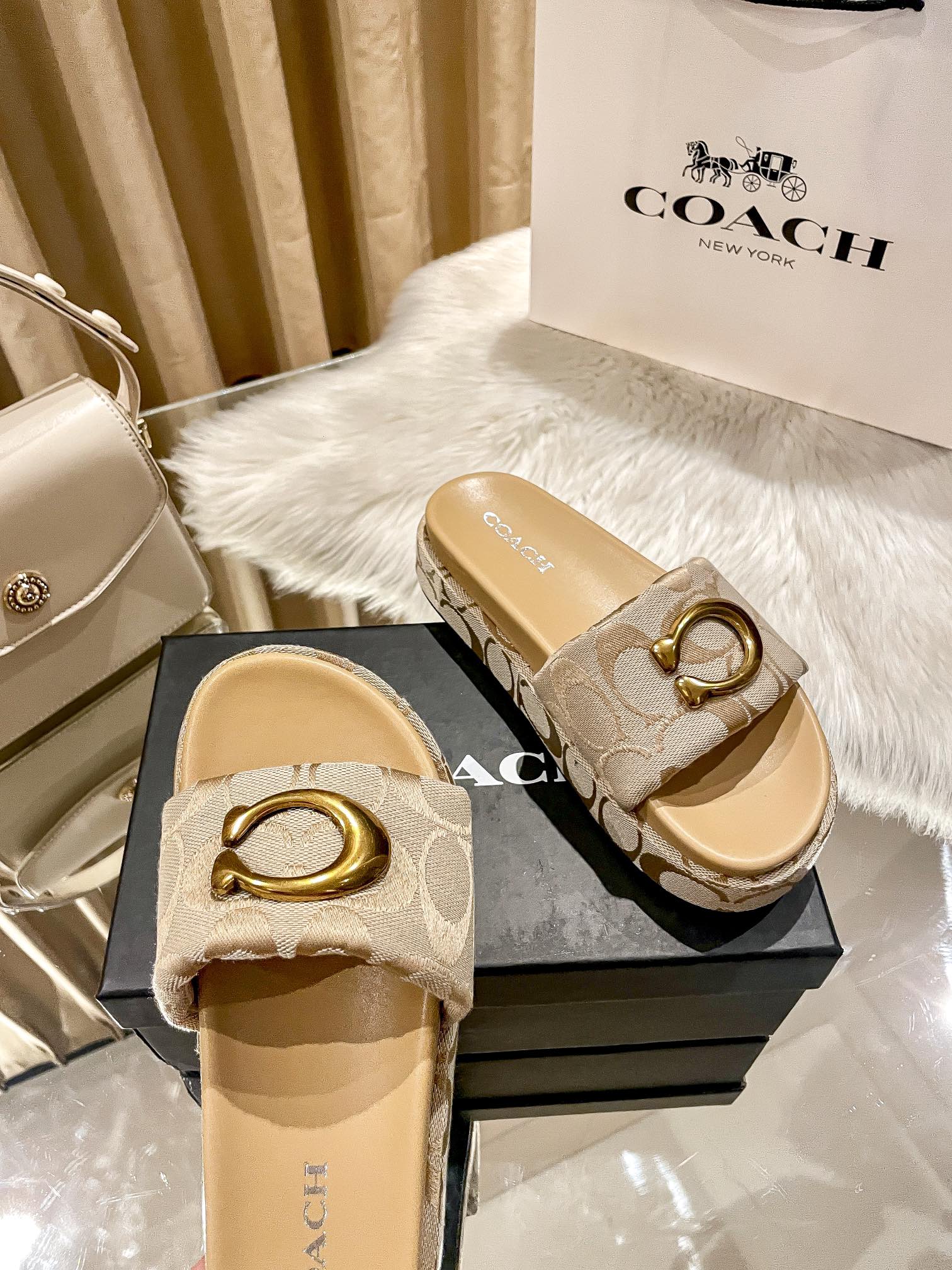 ⬆️23438-Coach-600 gallery