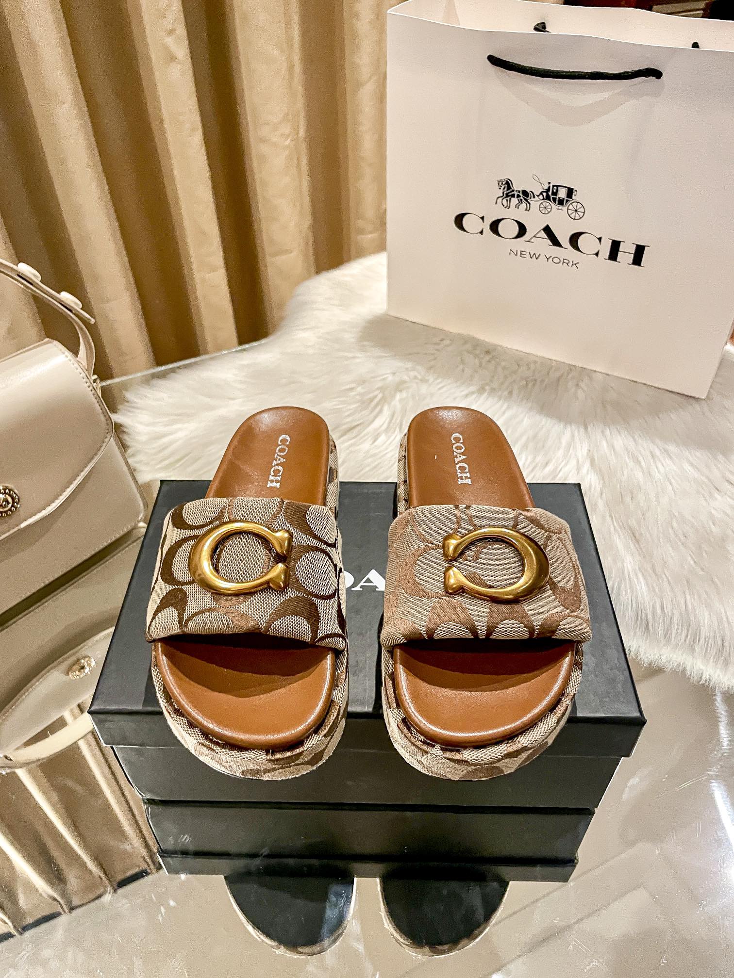 ⬆️23438-Coach-600 gallery