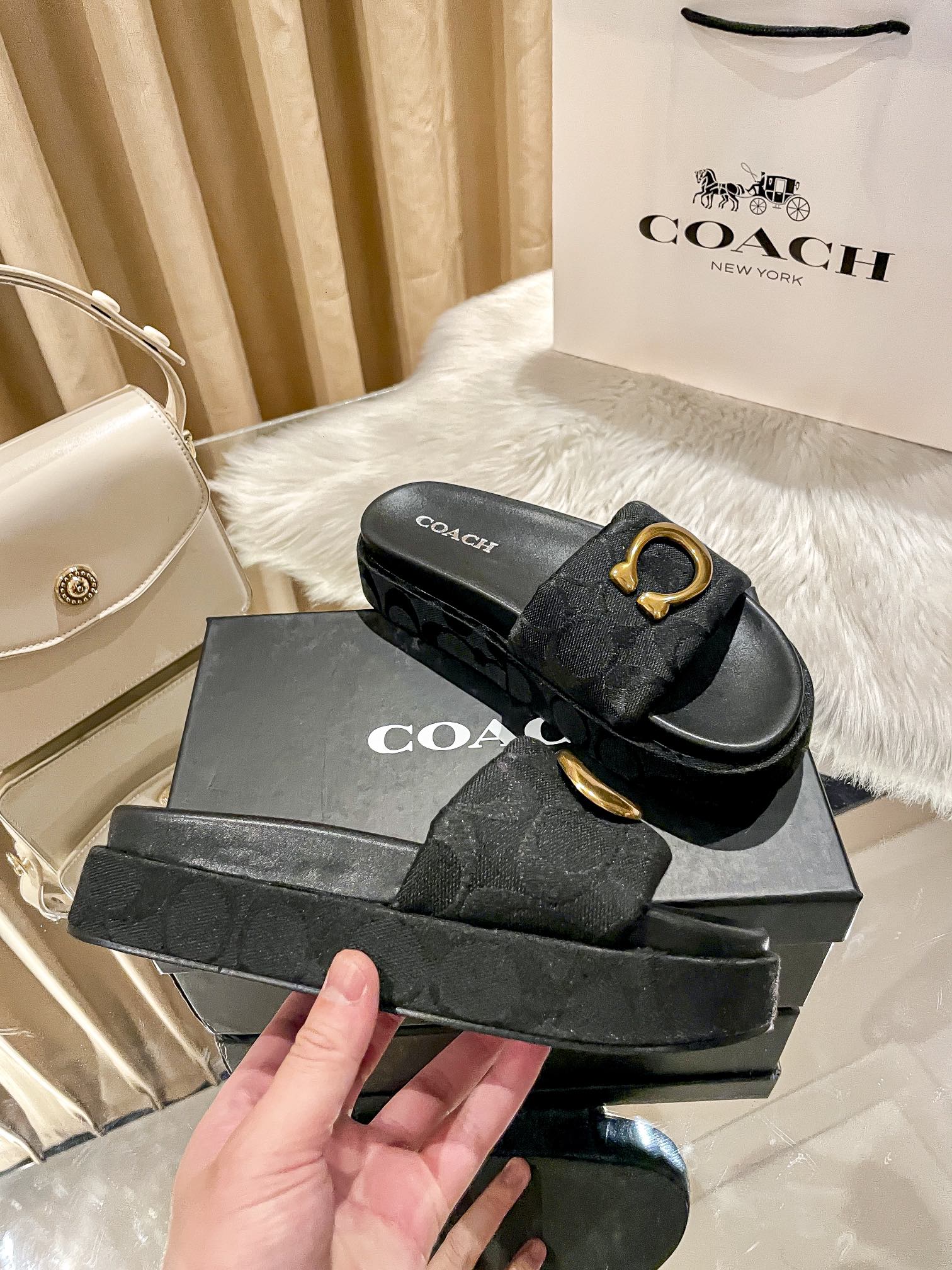 ⬆️23438-Coach-600 gallery