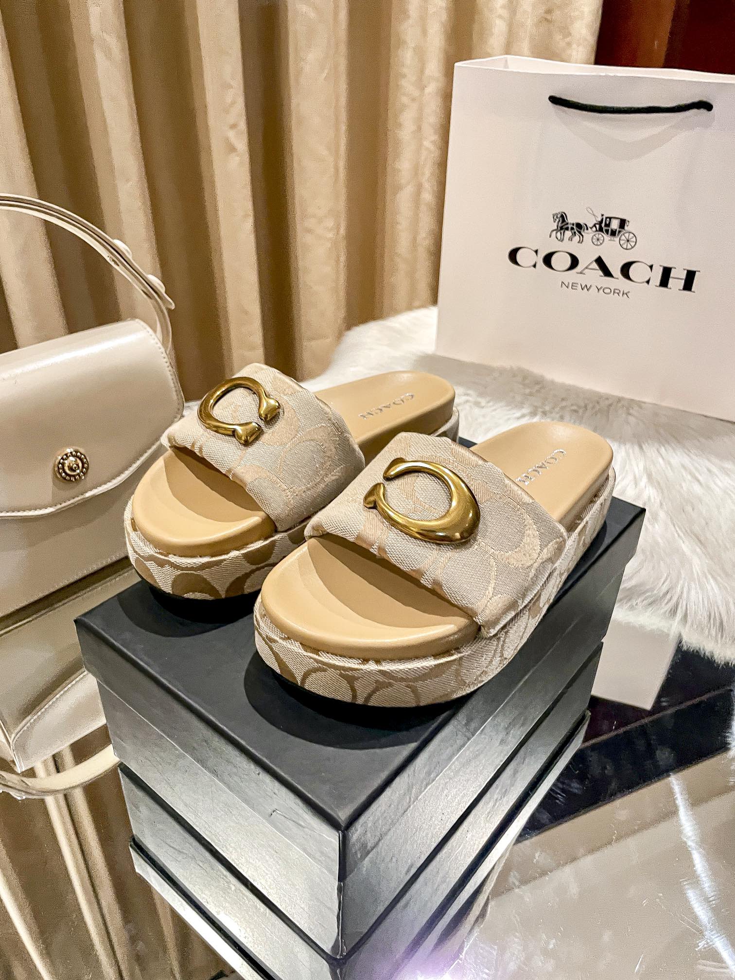 ⬆️23438-Coach-600 gallery