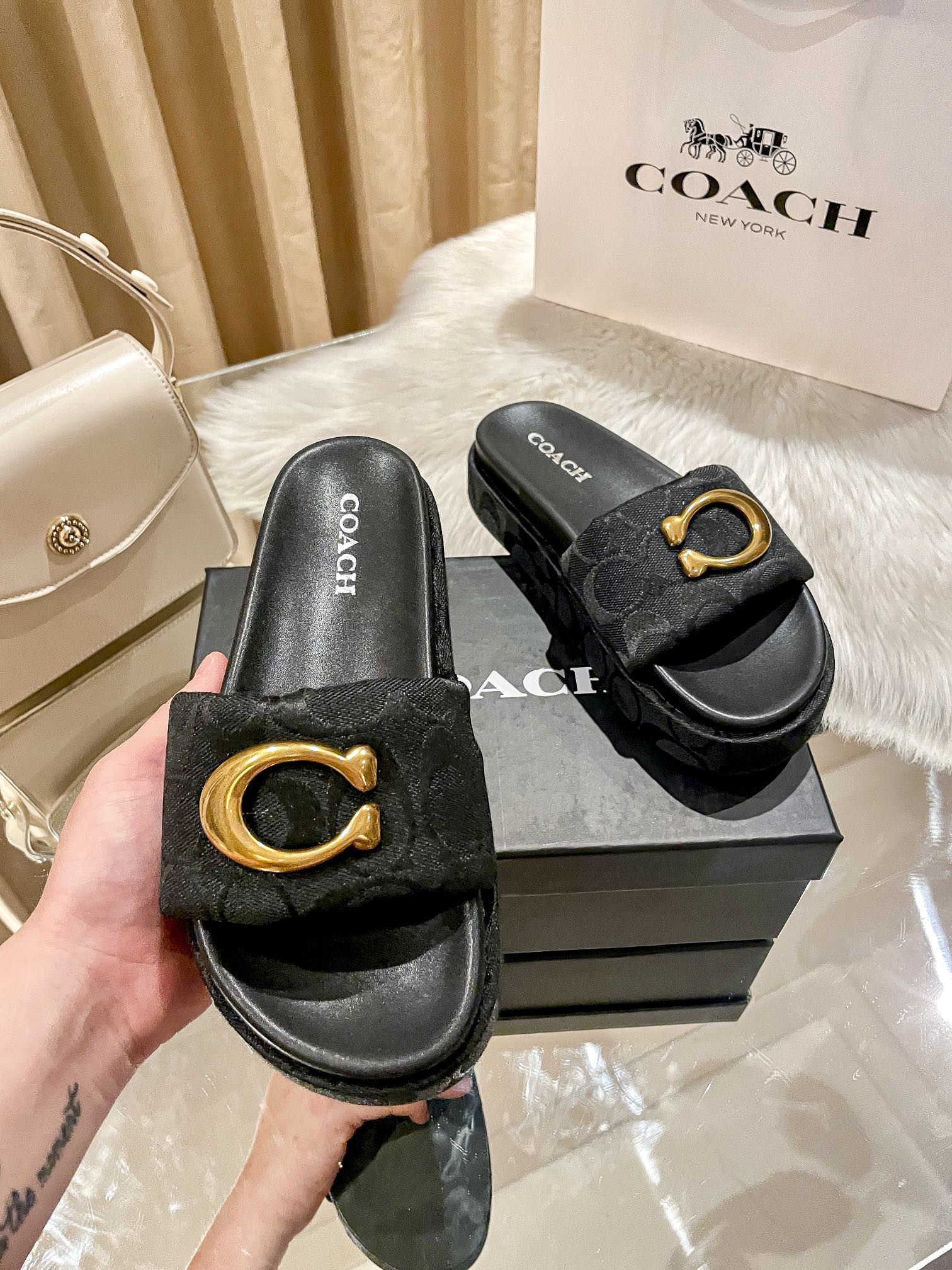 ⬆️23438-Coach-600 gallery