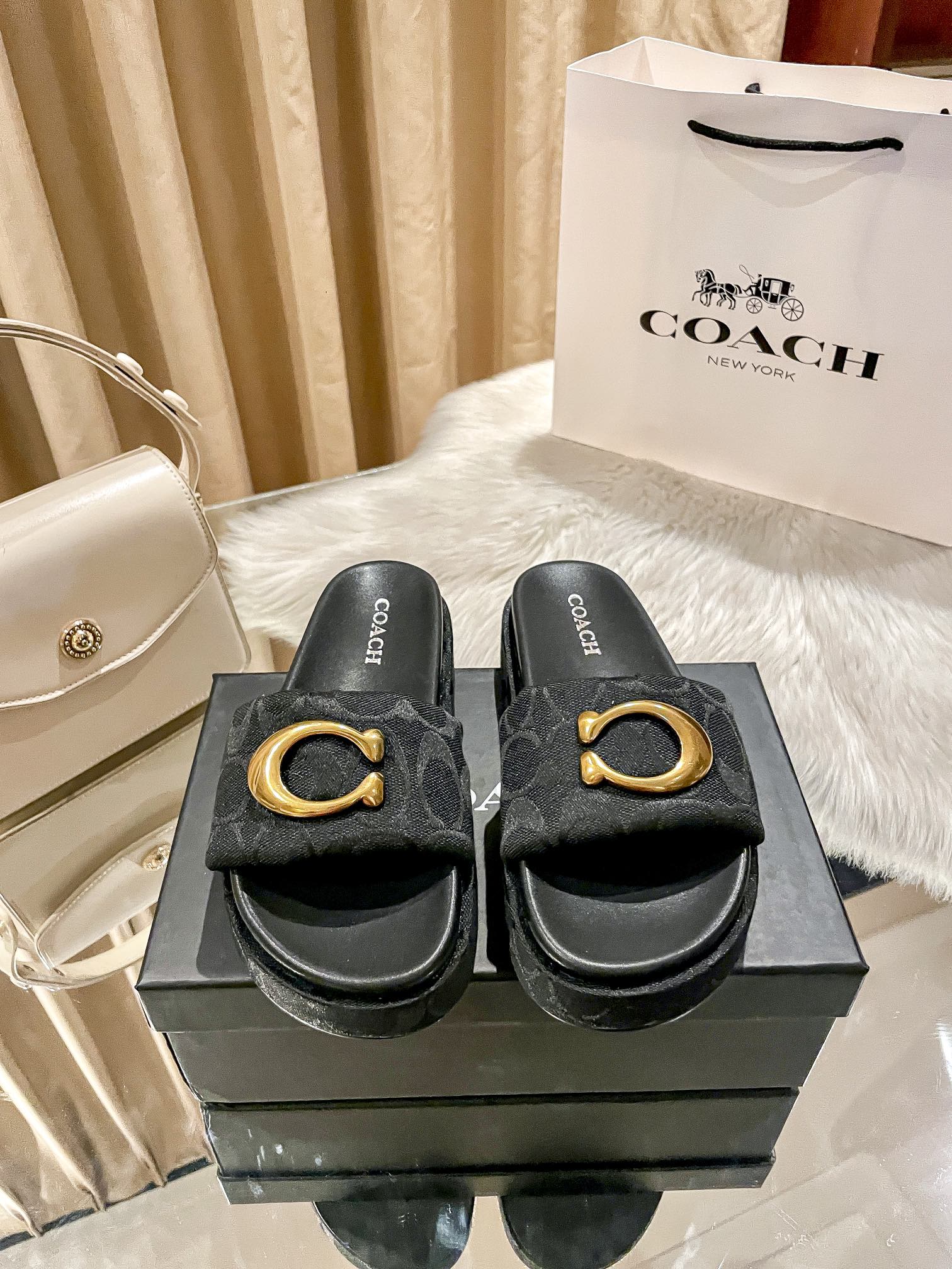 ⬆️23438-Coach-600 gallery