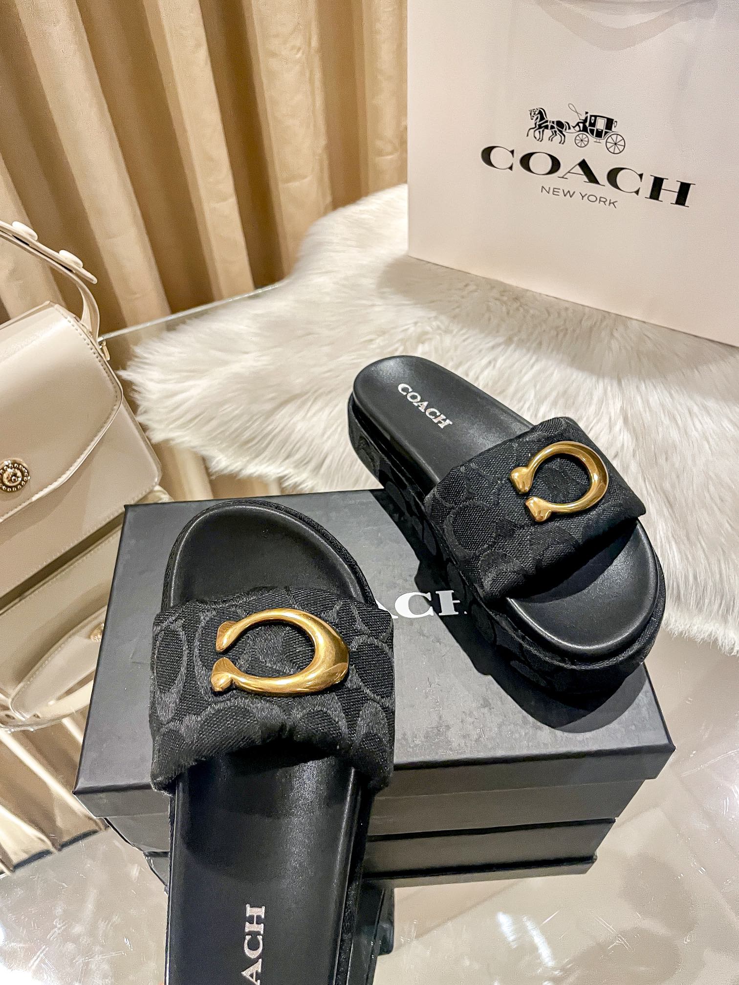 ⬆️23438-Coach-600 gallery