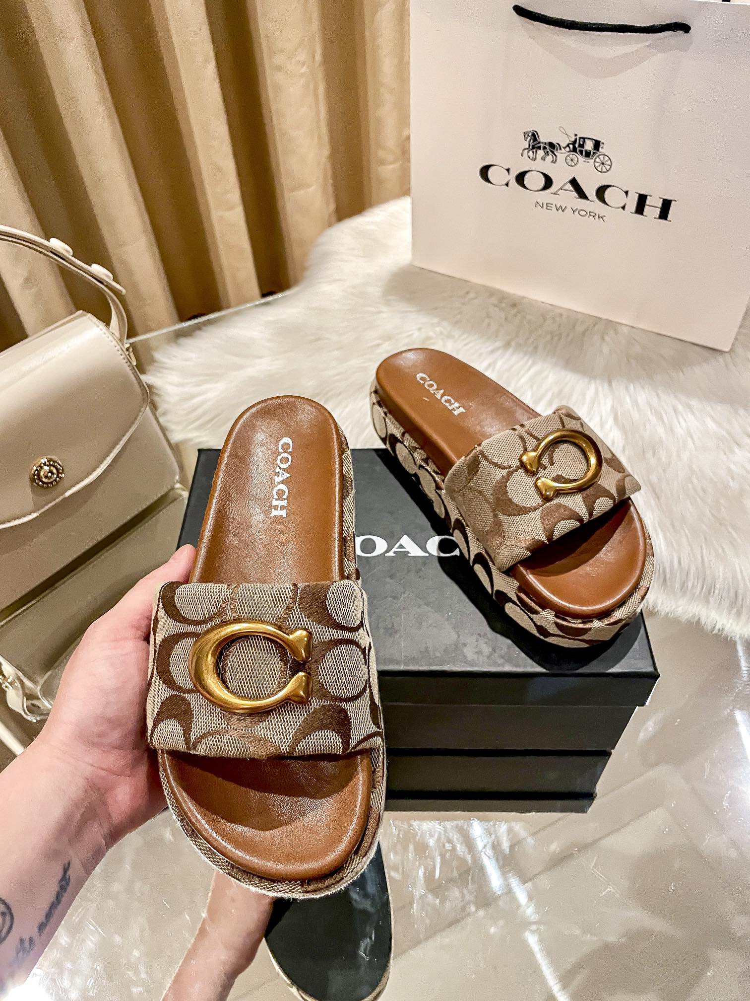 ⬆️23438-Coach-600 gallery