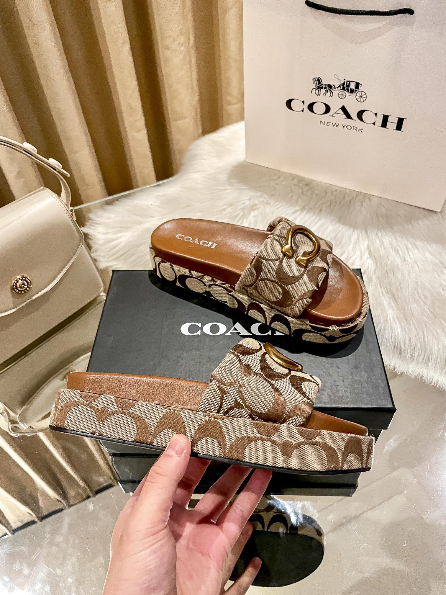 ⬆️23438-Coach-600 gallery