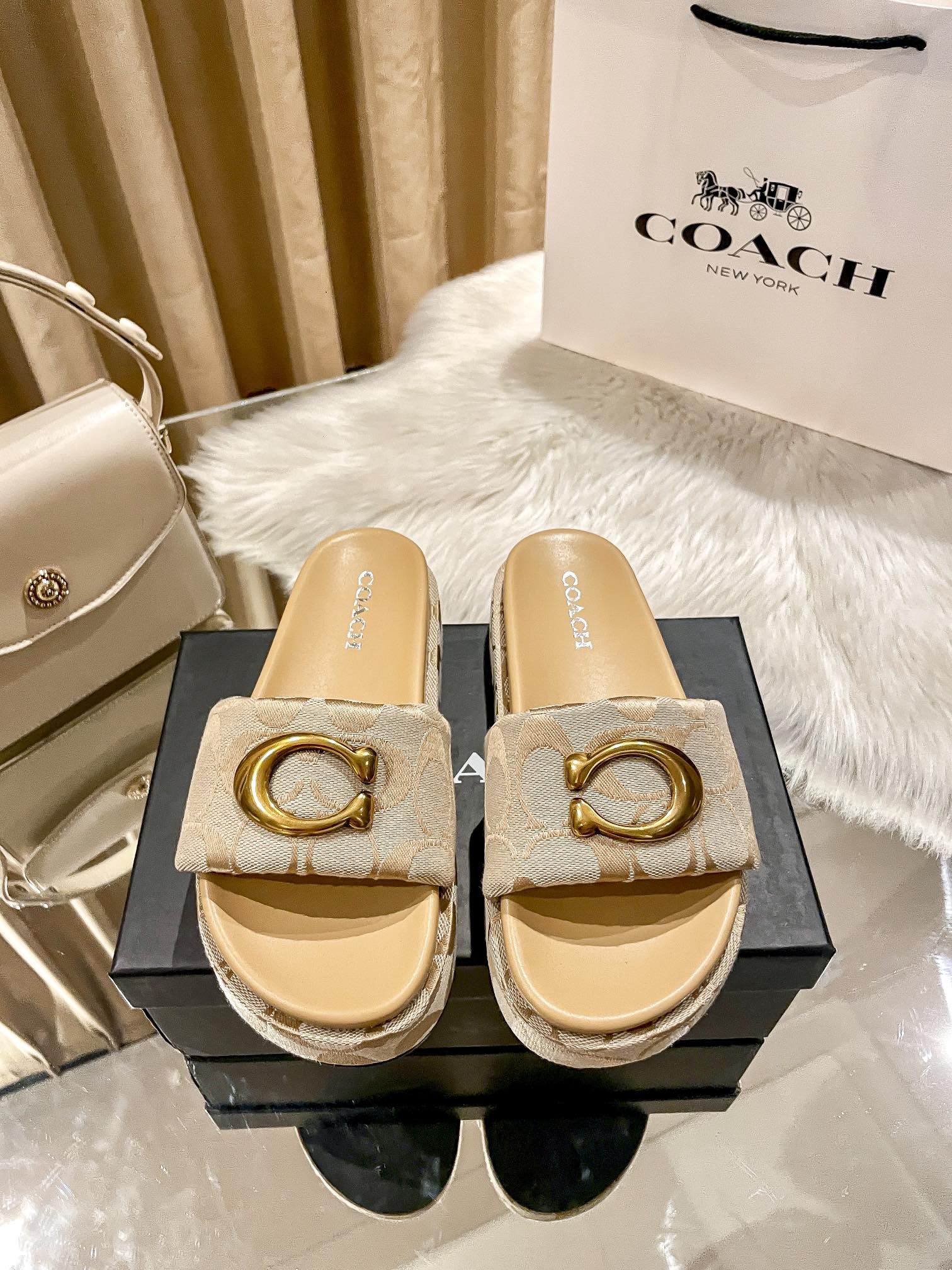 ⬆️23438-Coach-600 gallery