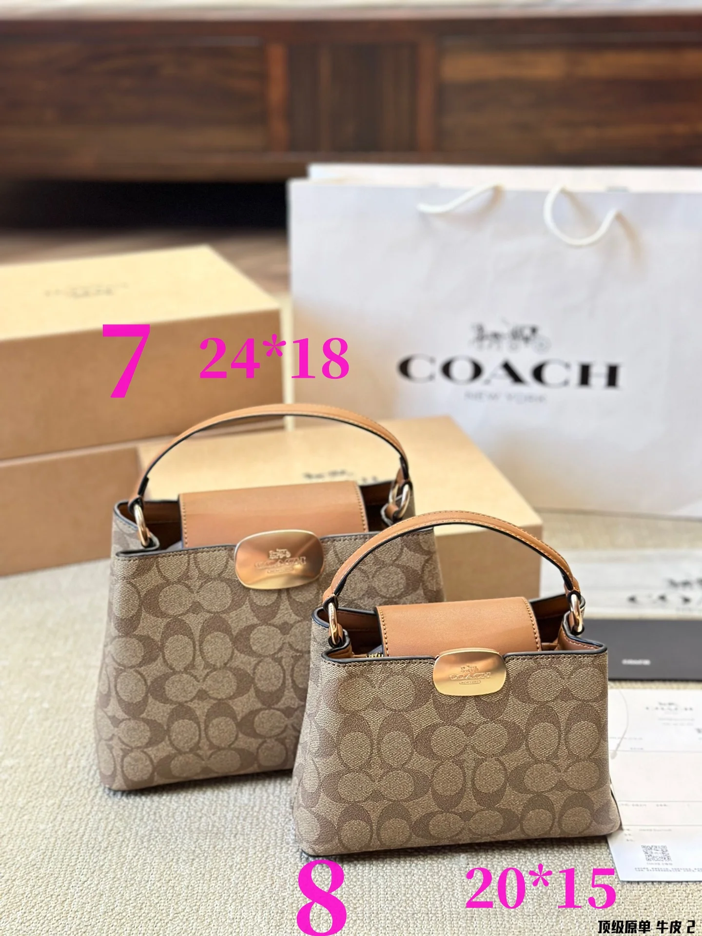 ⬆️25113-COACH-660-500 gallery