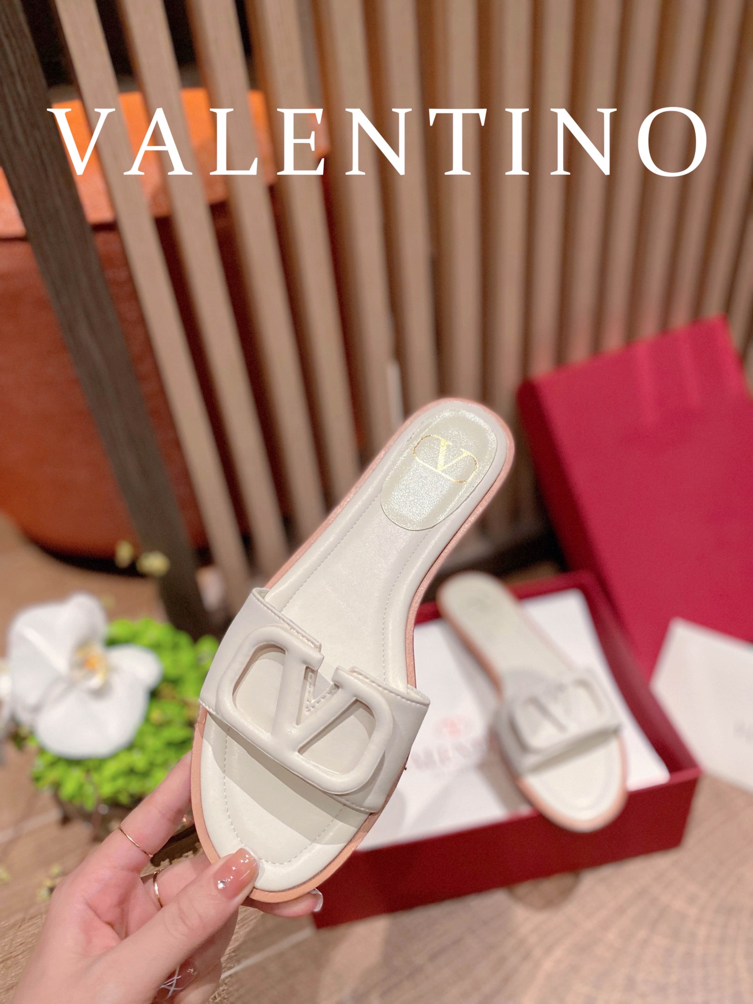 ⬆️25248-Valentino-724 gallery