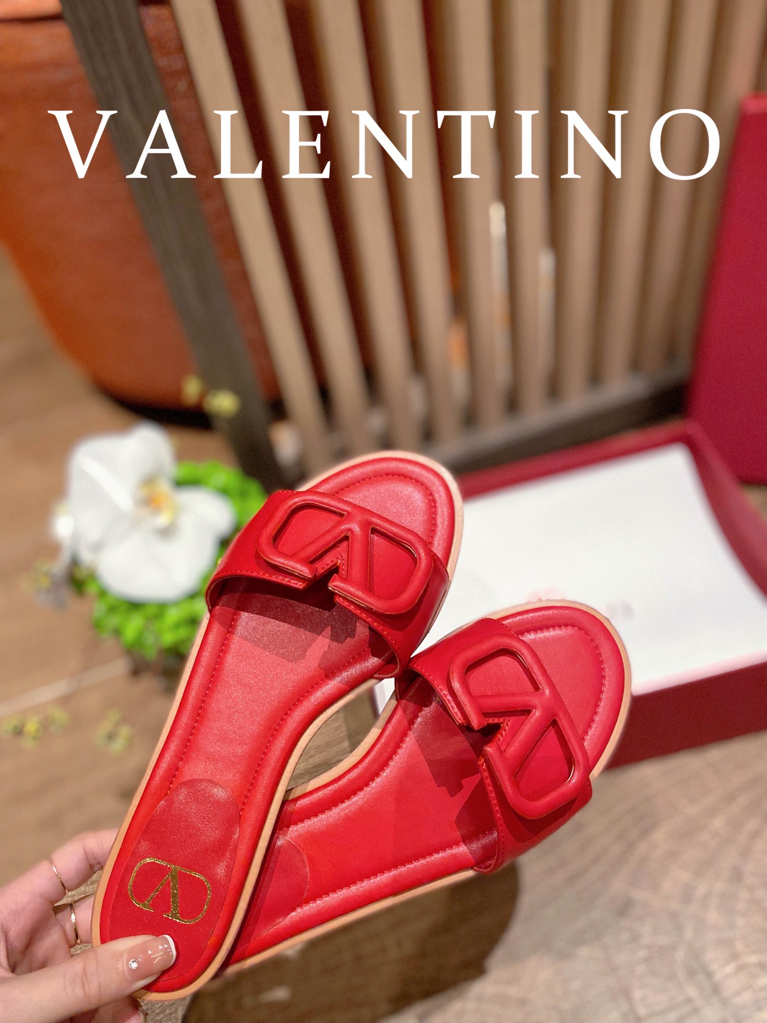 ⬆️25248-Valentino-724 gallery