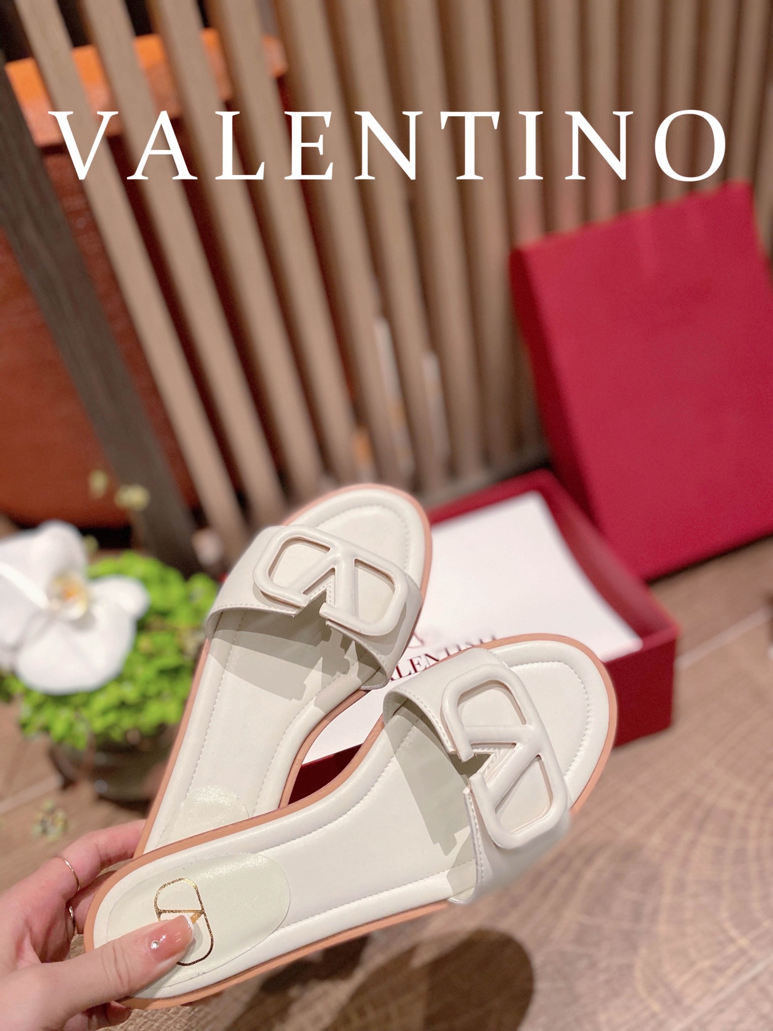 ⬆️25248-Valentino-724 gallery