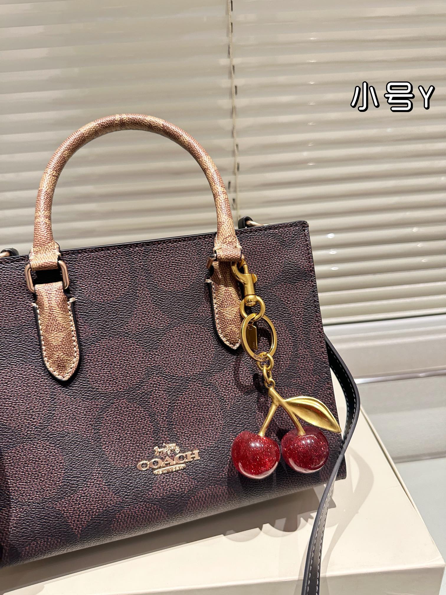 😀25288-COACH-$75 gallery