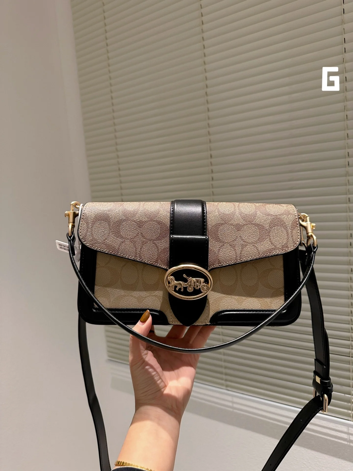 code:3744-393-53.99$-COACH-with box gallery