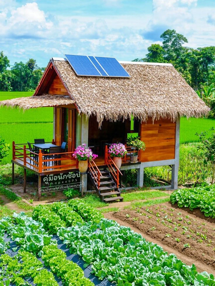 รูปภาพ Cover-บ้านสำหรับคนเดียว