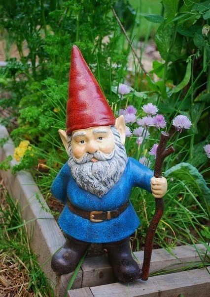 รูปภาพ Cover-Gnome statue