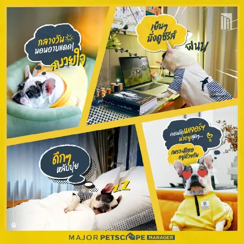 บ้าน 的画廊图 145