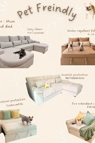 แกลลอรี่ของ โซฟาเบด รูปที่ 3